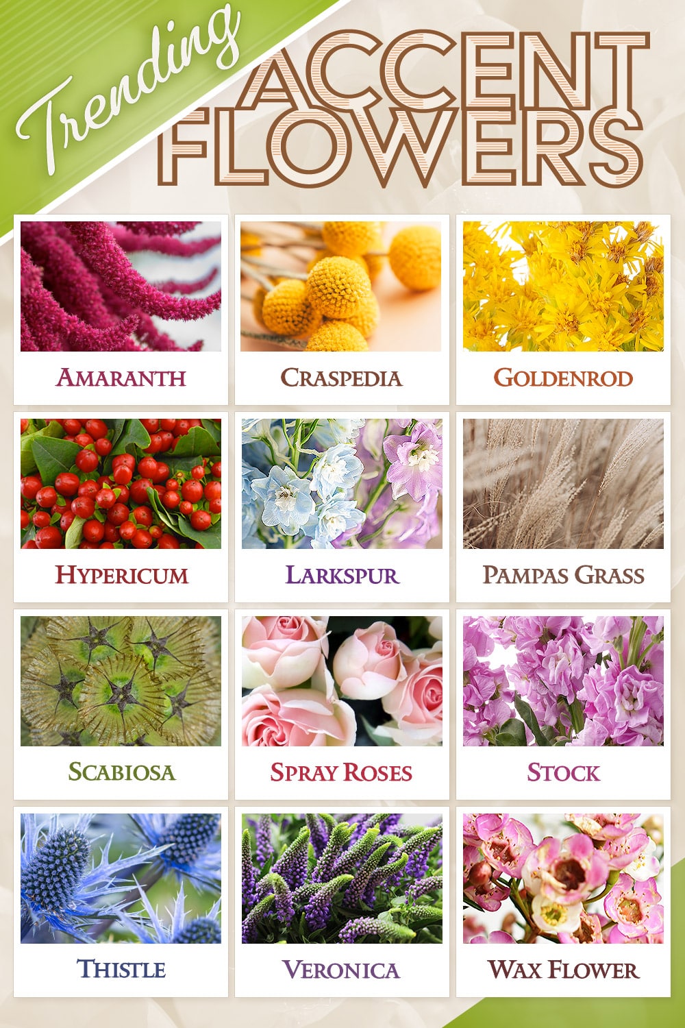Trending Accent Flowers: Amaranth, Craspedia, Goldenrod, Hypericum, Larkspur, Pampas Grass, Scabiosa, Spray Roses, Stock, Thistile, Veronica and Wax Flowers